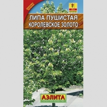 Липа пушистая Королевское золото