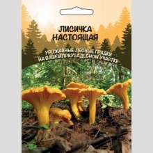 Грибы - Лисичка Настоящая (мицелий) 30мл (большой пакет)