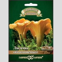 Грибы - Лисички на зерновом субстрате (мицелий) 15 мл (большой пакет)