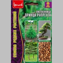 Лиственница Принца Рупрехта (большой пакет)