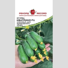 Огурец Кватрино F1 (Rijk Zwaan)