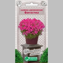 Льнянка Фантастика марокканская