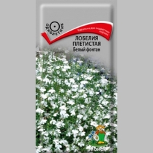 Лобелия Белый фонтан плетистая