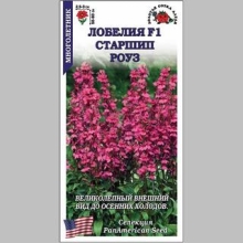 Лобелия Старшип Роуз