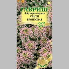 Лобулярия Свити бронзовая
