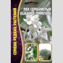 Лох серебристый (большой пакет)