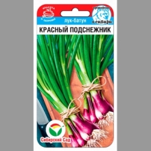 Лук Красный подснежник батун