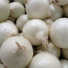 Лук Бело Бланко F1 репчатый