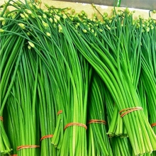 Лук Душистый Китайский Чеснок