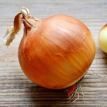 Лук Один сезон F1