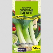Лук Сибирский Гигант порей