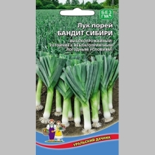 Лук Бандит Сибири