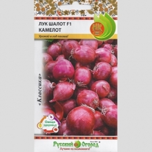 Лук Камелот F1 шалот