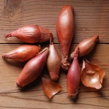 Лук Семейный шалот