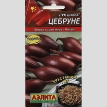 Лук Цебруне (шалот)