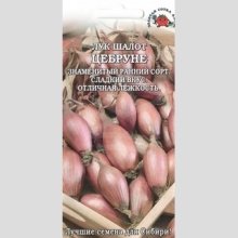 Лук Цебруне шалот