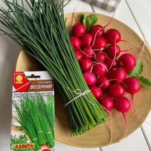 Лук Весенний (шнитт)