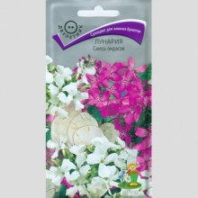 Лунария Смесь окрасок