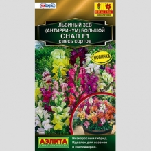 Львиный зев Снап F1 смесь