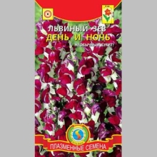 Львиный зев День и Ночь