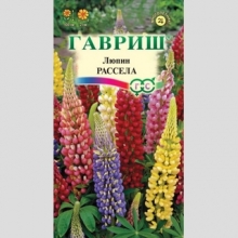 Люпин Рассела смесь