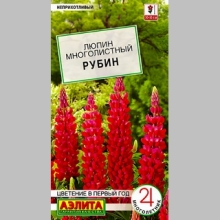 Люпин Рубин