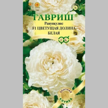 Лютик Цветущая долина белая F1 (Ранункулюс)