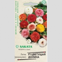 Лютик Цветущая долина смесь F1 (Ранункулюс)