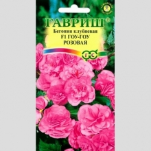 Бегония Гоу-гоу розовая F1 клубневая