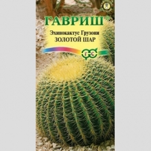 Эхинокактус Грузона Золотой шар