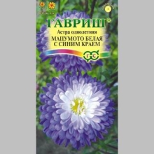 Астра Мацумото Белая с синим краем