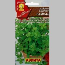 Майоран Байкал