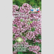 Майоран Кустовой