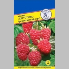 Малина Августина ремонтантная