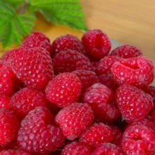 Малина Джоан Джей