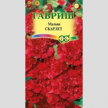 Мальва Скарлет