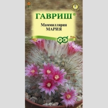 Маммиллярия Мария бокасанская (кактус)