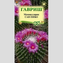 Маммиллярия Сан пико (Толука)