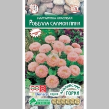 Маргаритка Робелла Салмон Пинк