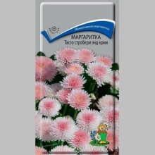 Маргаритка Тассо стробери энд крим