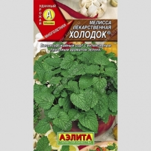 Мелисса Холодок