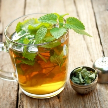 Мелисса Махито