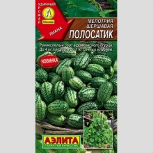 Мелотрия Полосатик (Мышиная дыня)