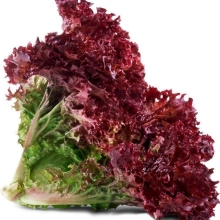 Салат Красный вельвет (листовой)