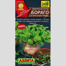 Микрозелень Бораго (огуречная трава)