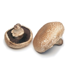 Грибы - Гриб Портобелло 60 мл