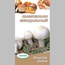 Грибы - Шампиньон миндальный