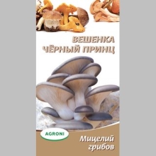Грибы - Вешенка Чёрный принц