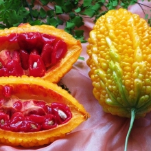 Момордика Индийский гранат