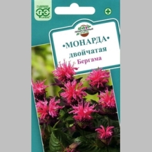 Монарда Бергама двойчатая